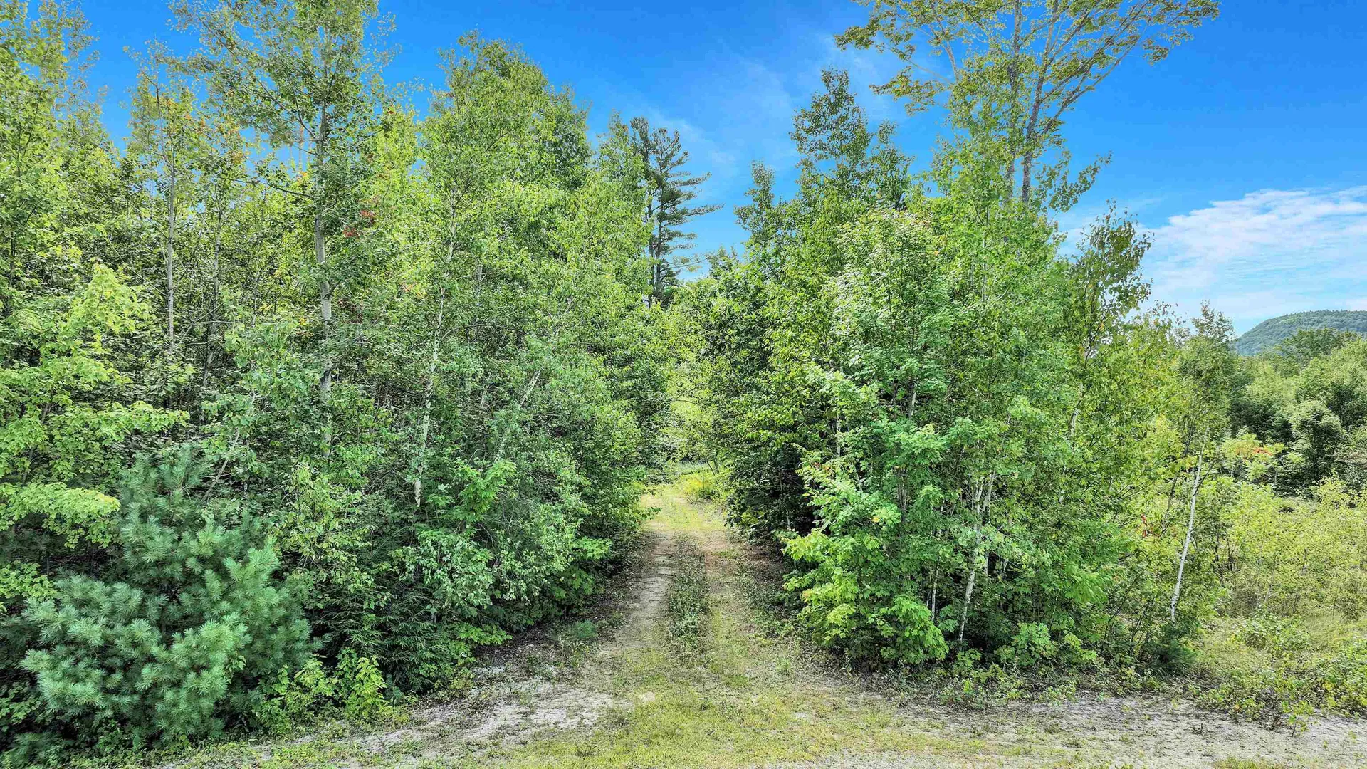 59 N Ridge Road Bradford NH 03221