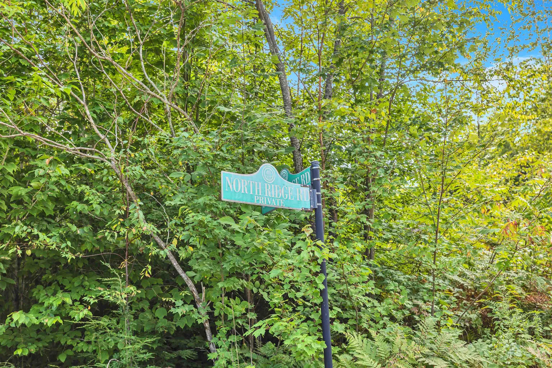 59 N Ridge Road Bradford NH 03221