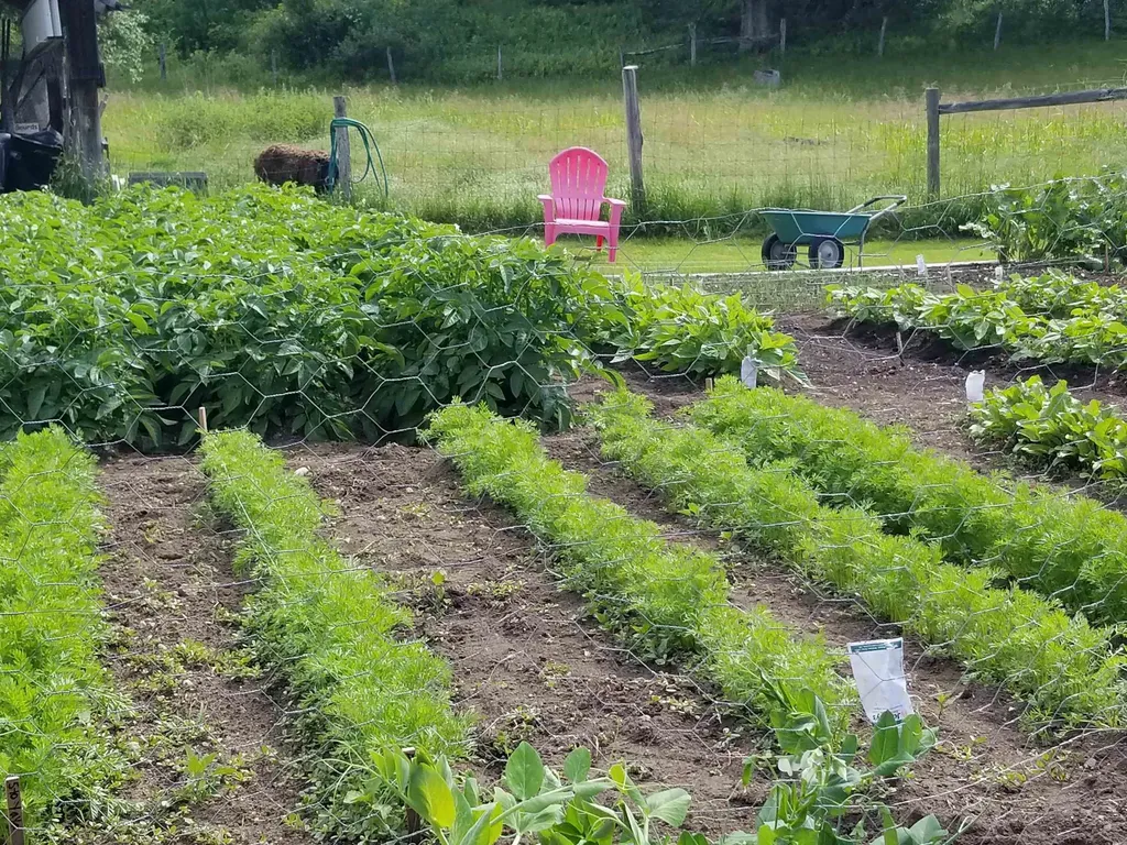 849 Saxtons River Road Rockingham VT 05154