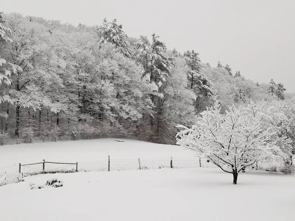 849 Saxtons River Road Rockingham VT 05154