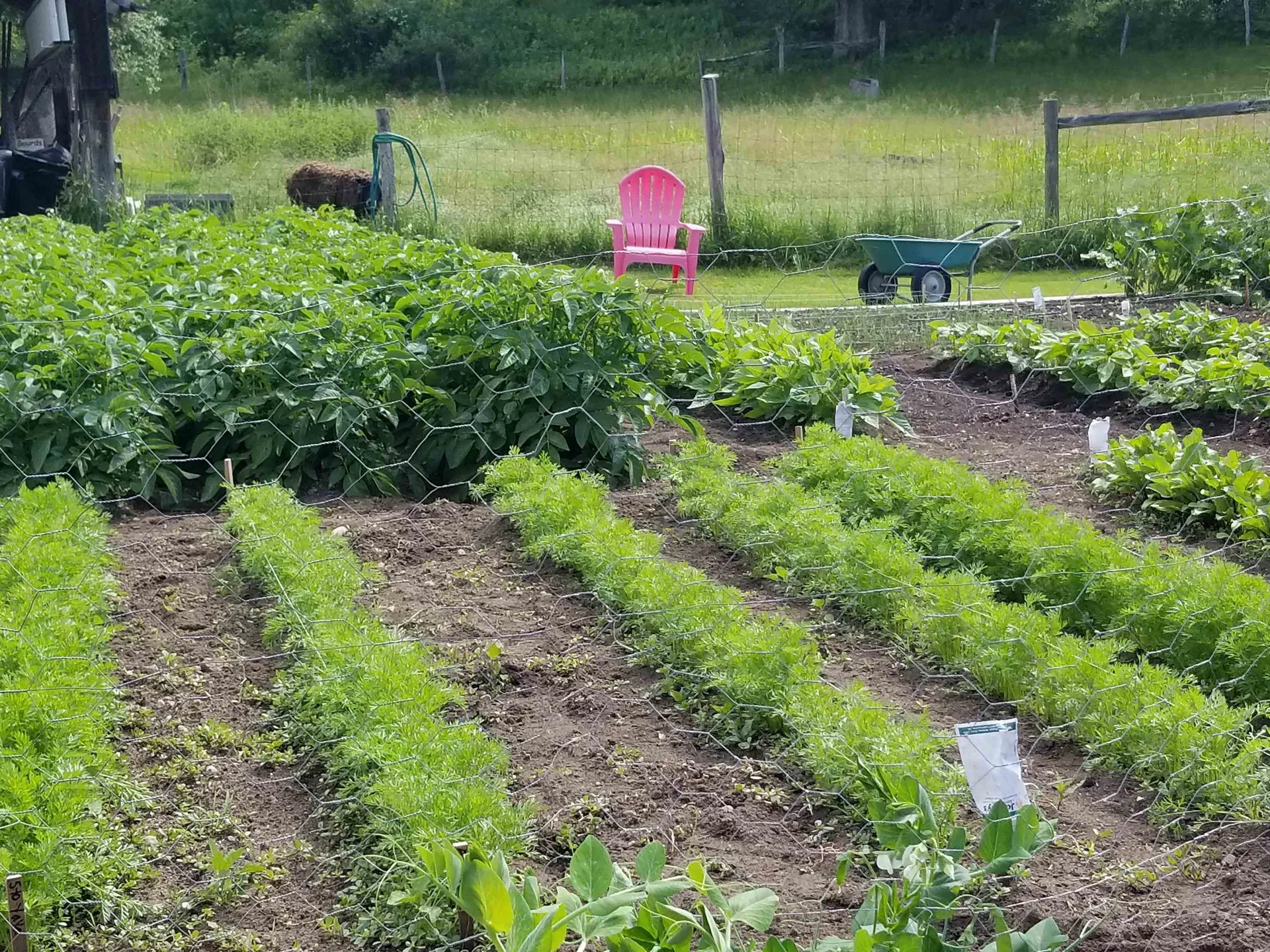 849 Saxtons River Road Rockingham VT 05154