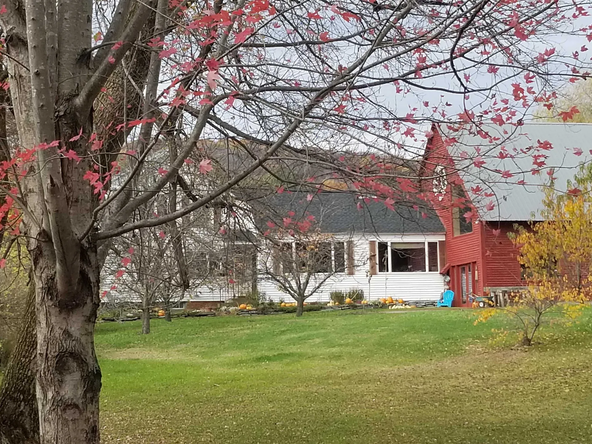 849 Saxtons River Road Rockingham VT 05154