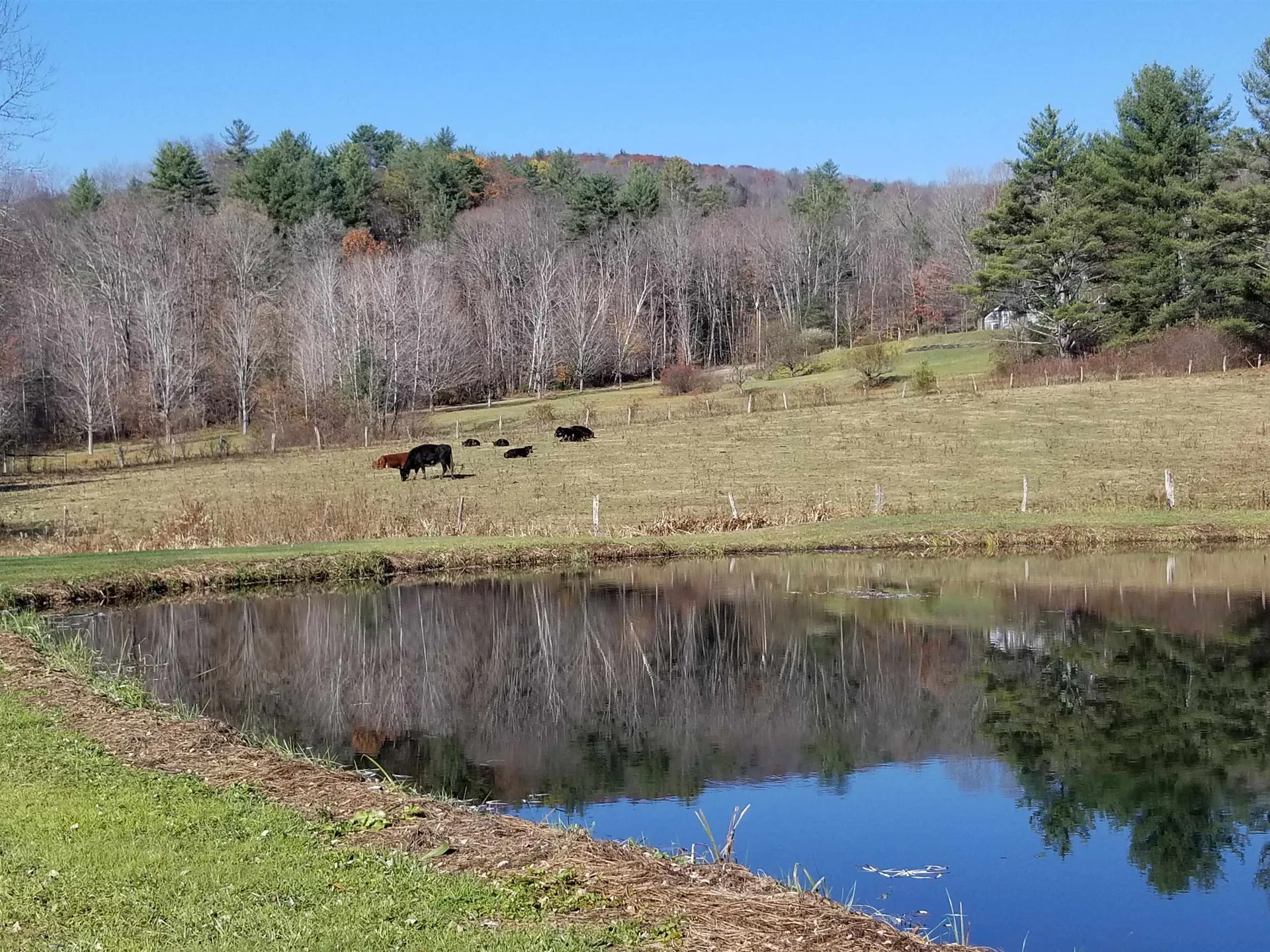 849 Saxtons River Road Rockingham VT 05154