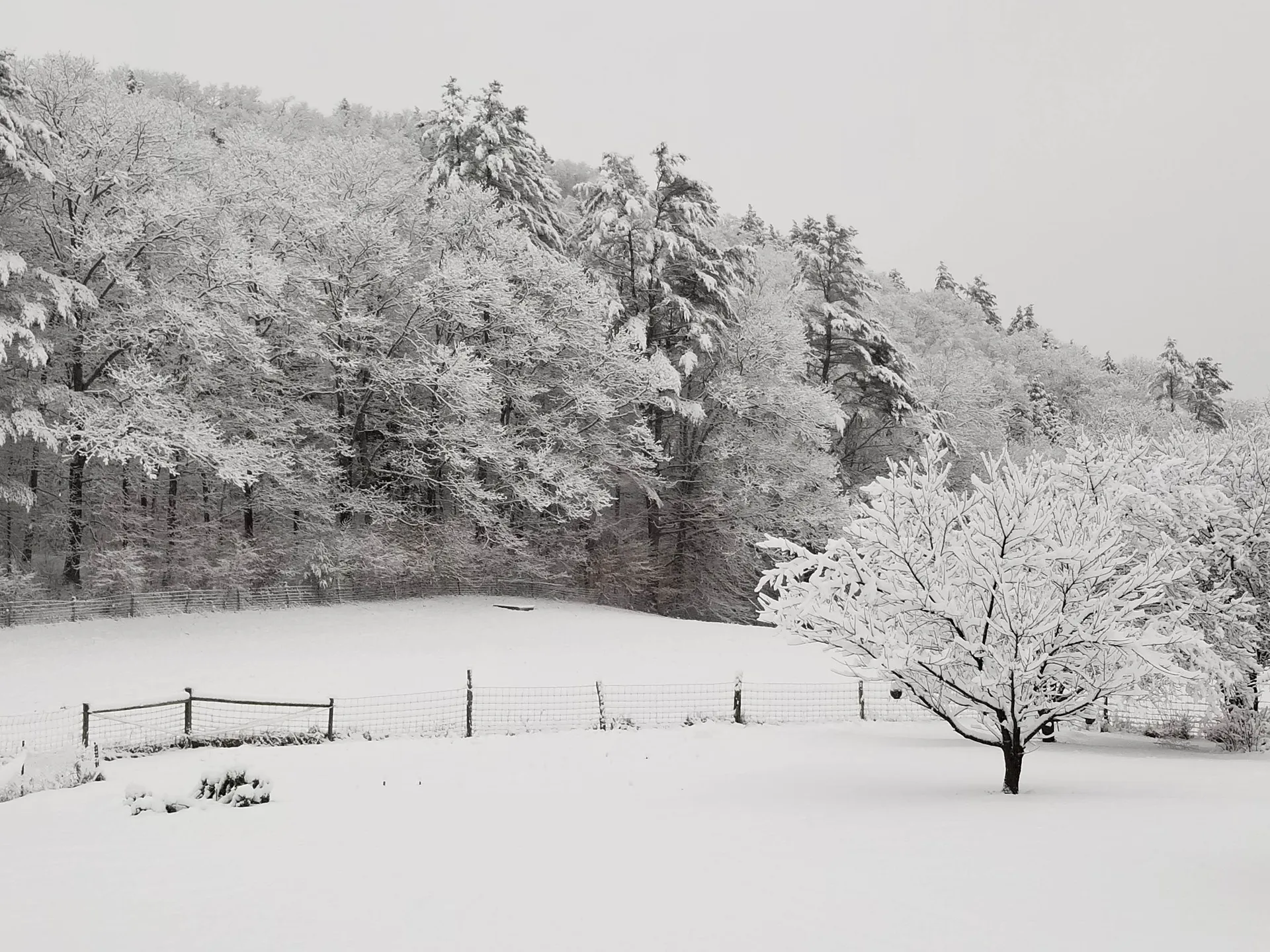 849 Saxtons River Road Rockingham VT 05154