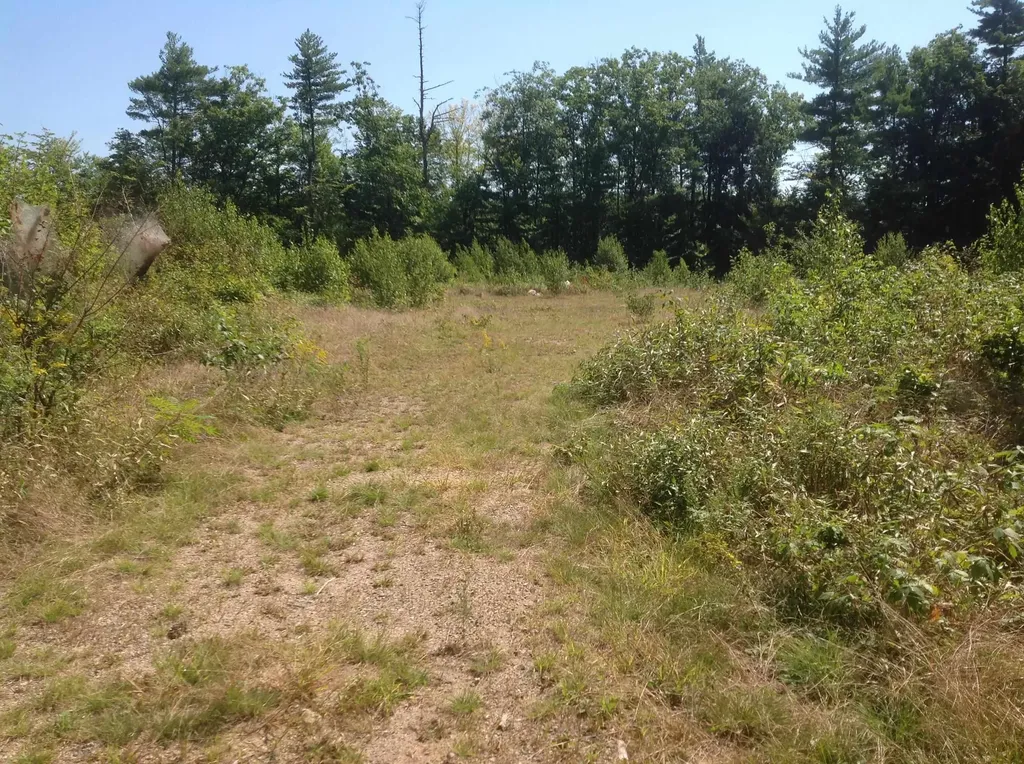 0 Libby Road Effingham NH 03882-4406