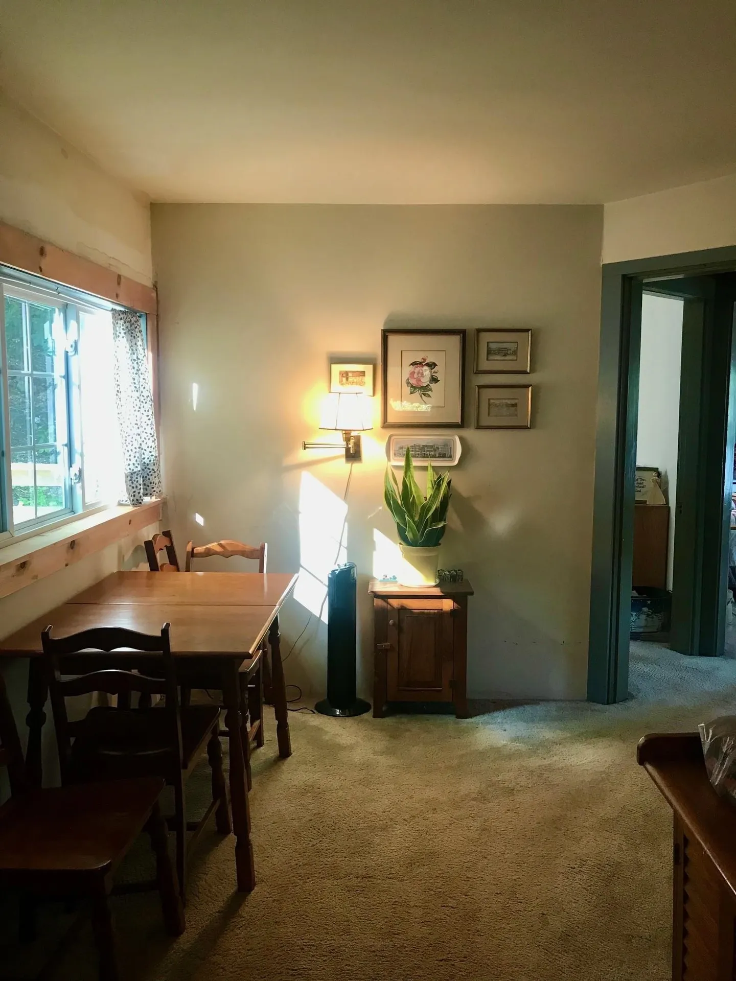 20 Boat Cove Road Alton NH 03810