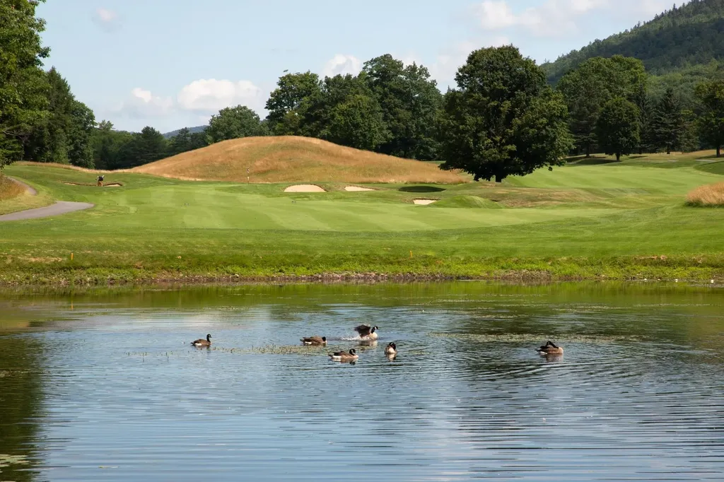 986 Branch Brook Road Mount Holly VT 05758