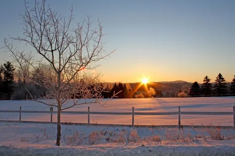 986 Branch Brook Road Mount Holly VT 05758