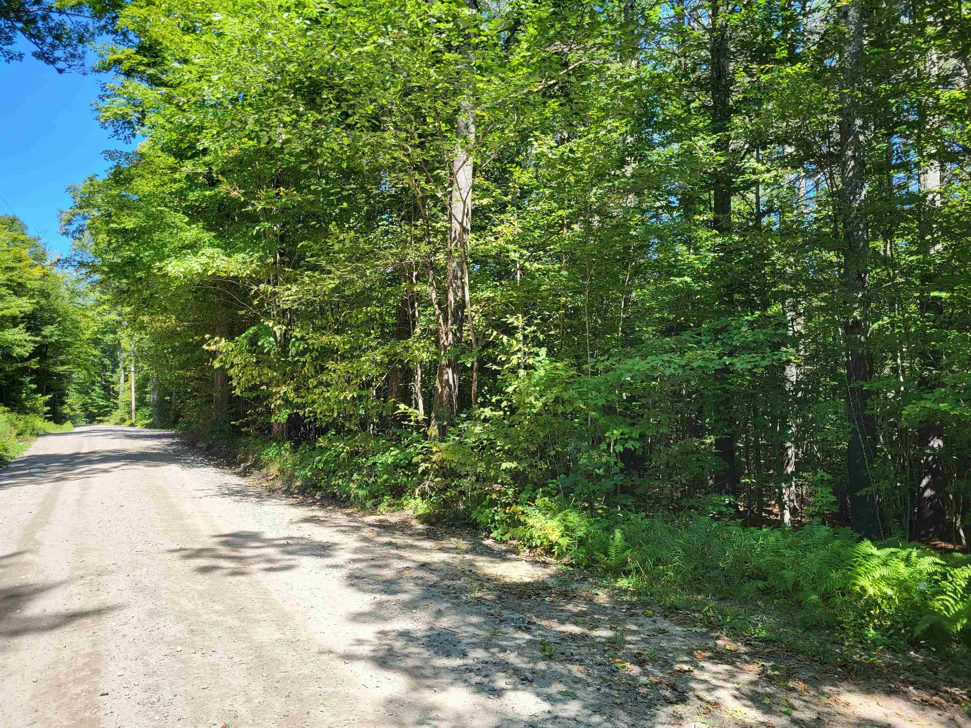 100 Forbes Mountain Road Danbury NH 03230