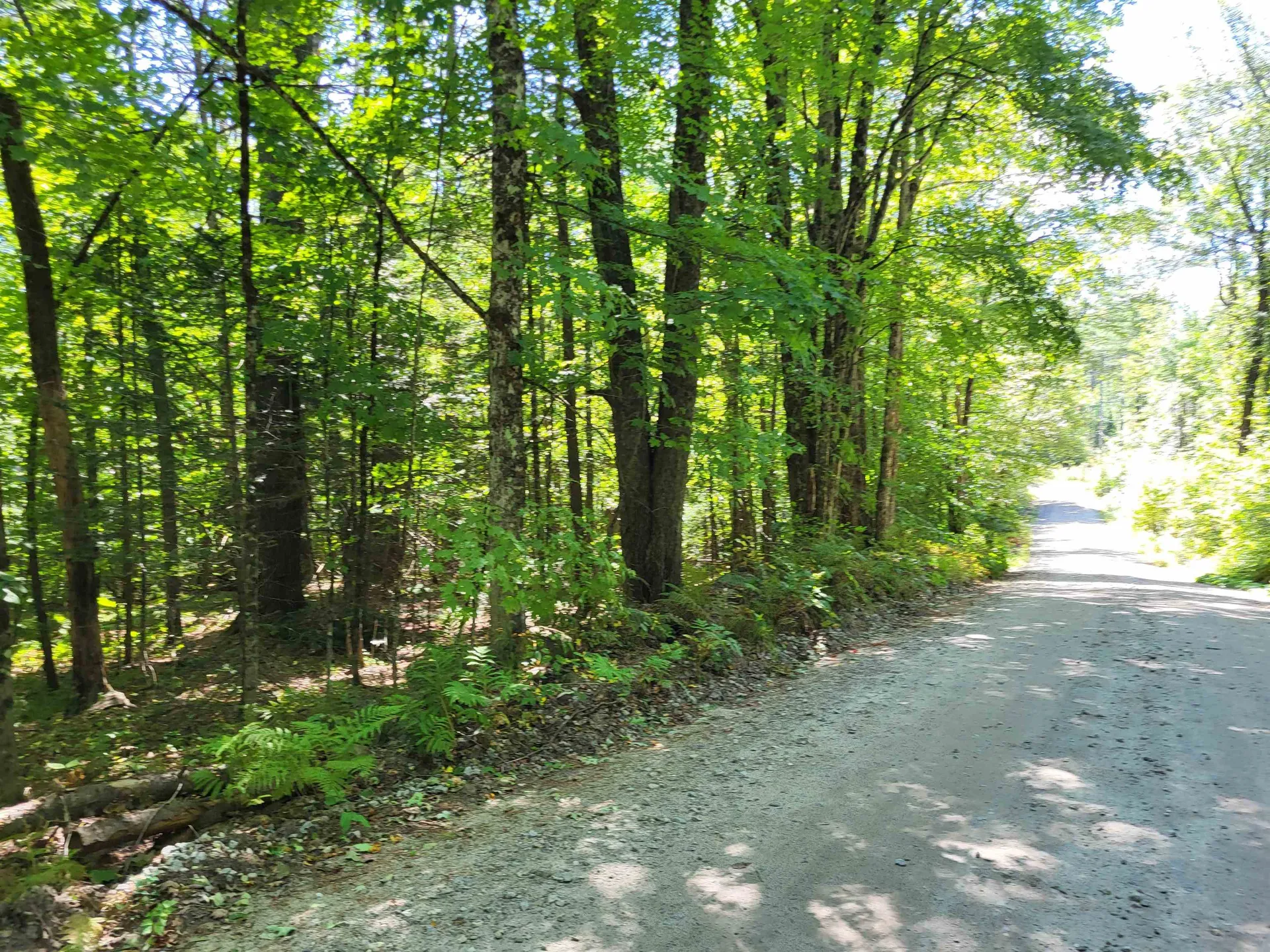 100 Forbes Mountain Road Danbury NH 03230