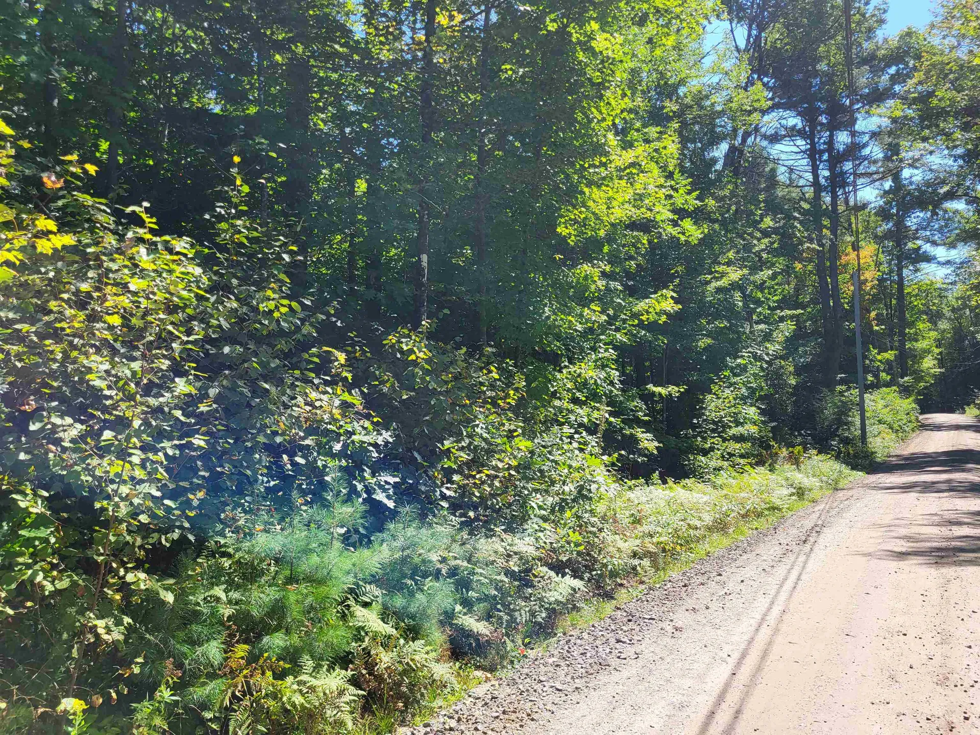100 Forbes Mountain Road Danbury NH 03230