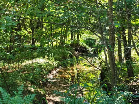 100 Forbes Mountain Road Danbury NH 03230