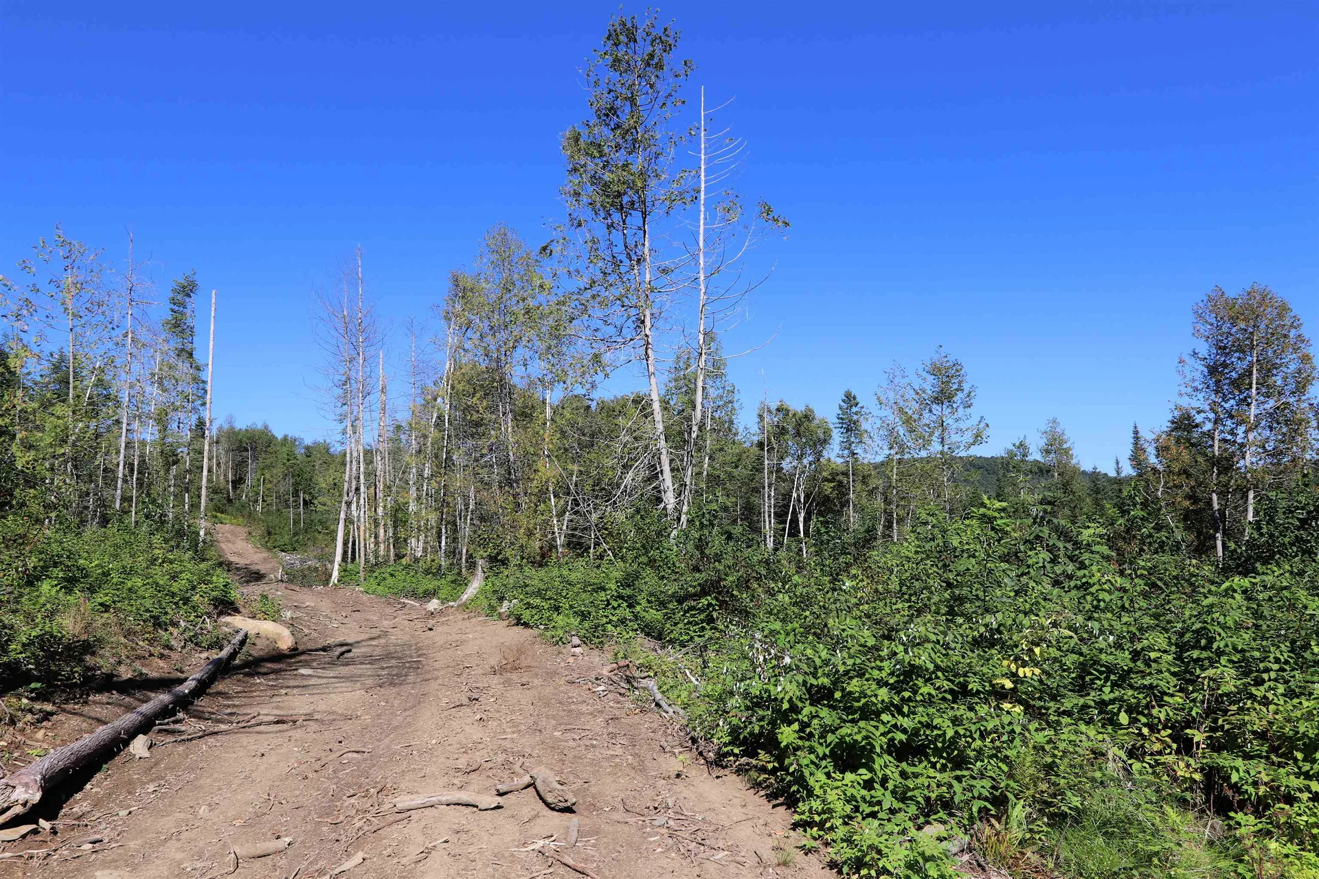 2325 Keiser Pond Road Danville VT 05873