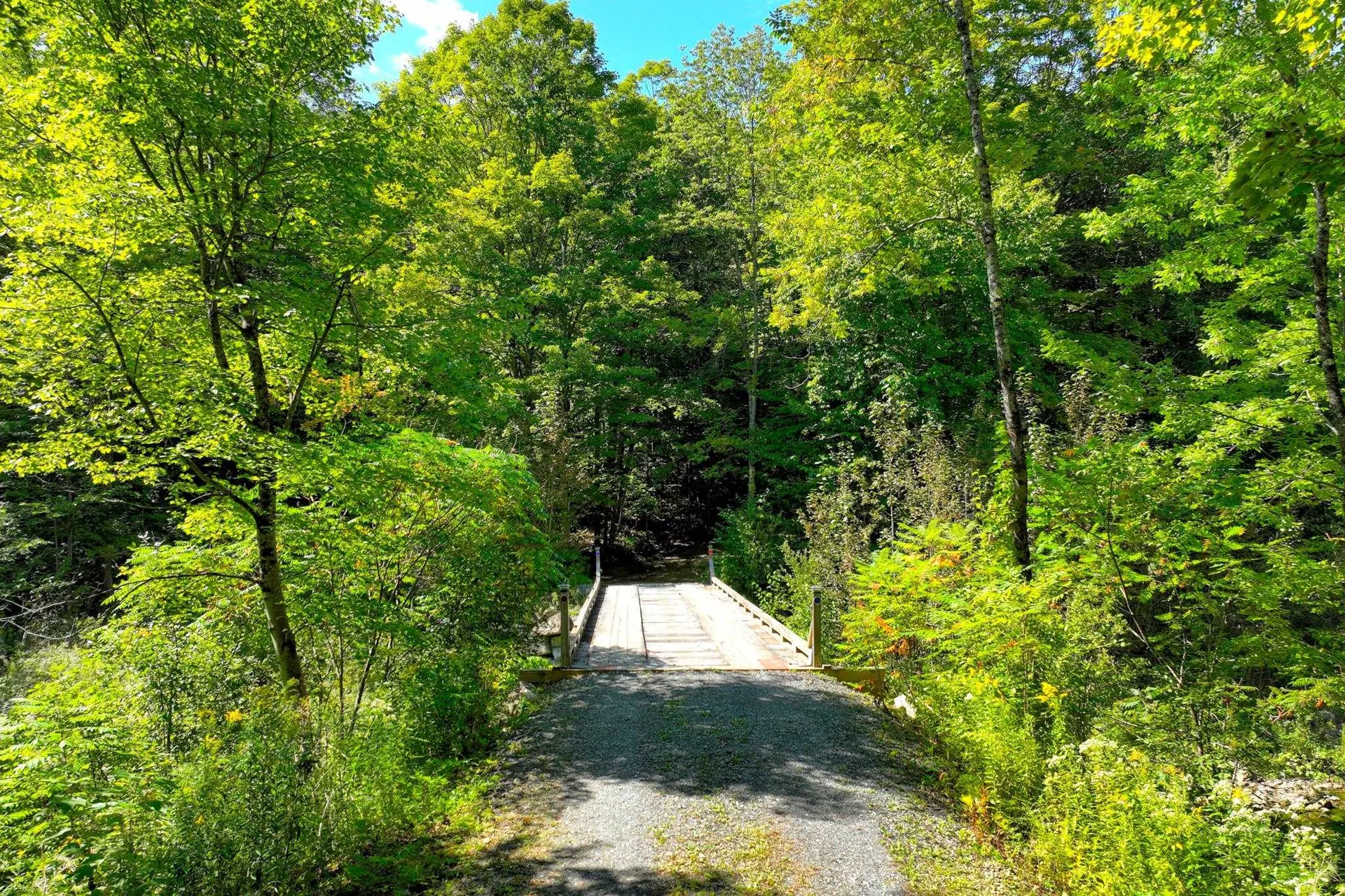 1087 Route 100 Pittsfield VT 05762