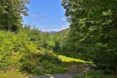 1087 Route 100 Pittsfield VT 05762
