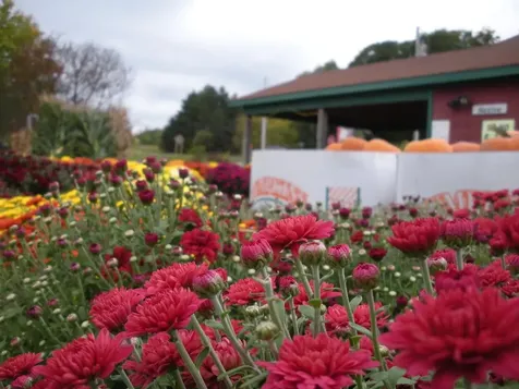 695 Oak Knoll Road Williston VT 05495