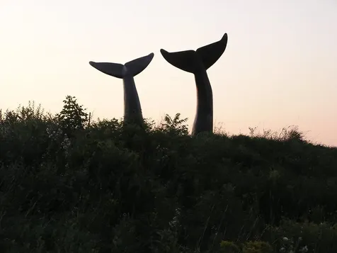 695 Oak Knoll Road Williston VT 05495