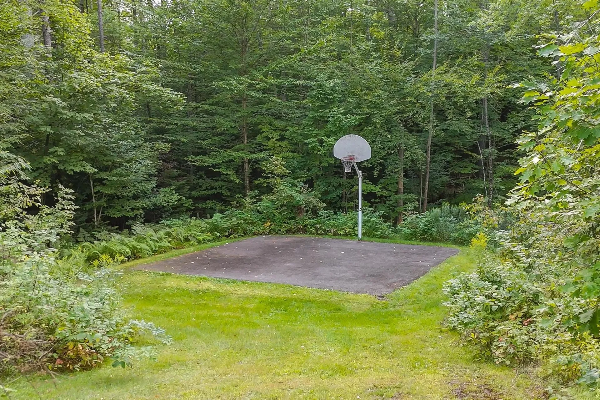 1778 Hells Peak Road Londonderry VT 05148