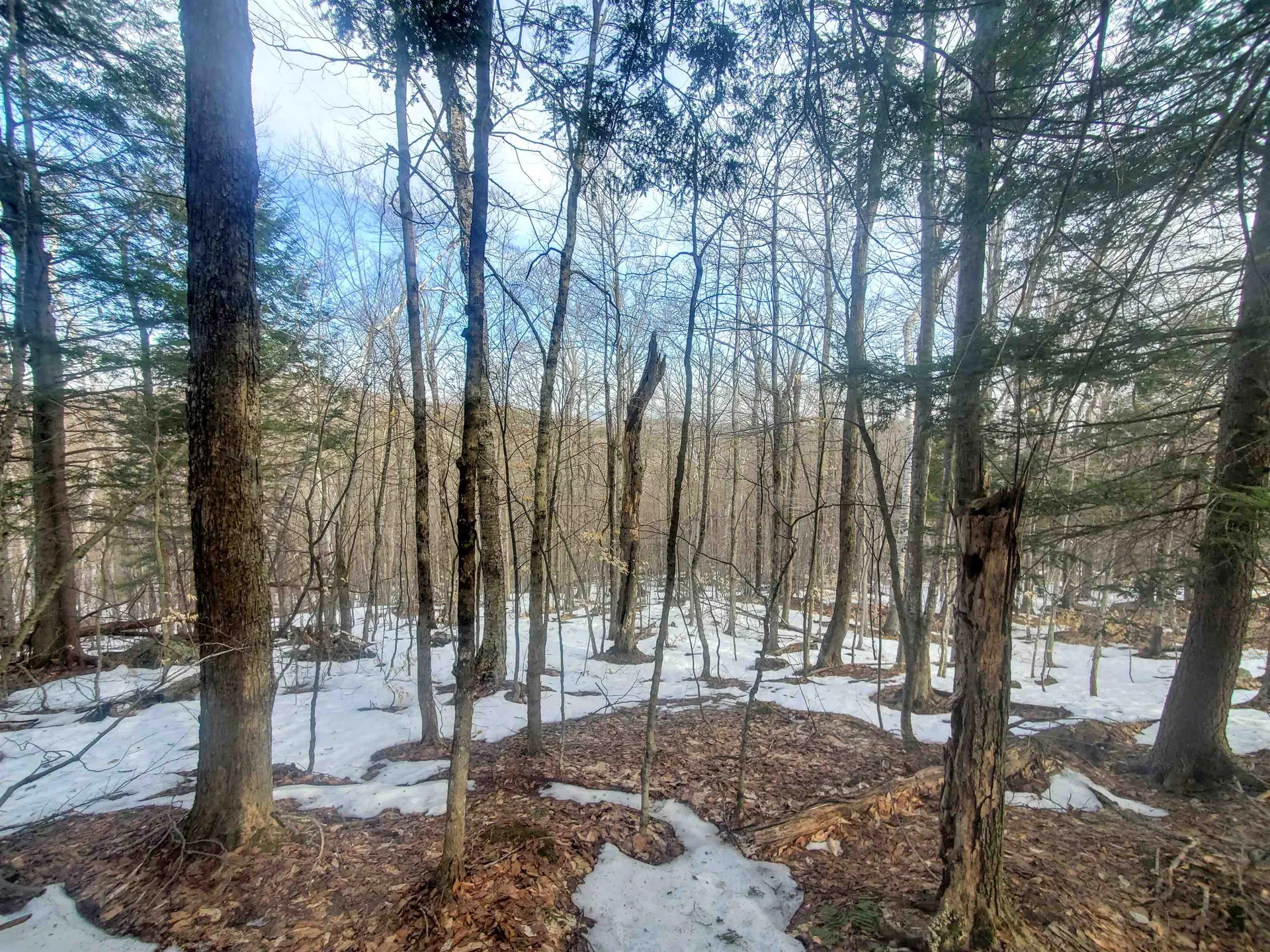 00 Route 9 Marlboro VT 05344