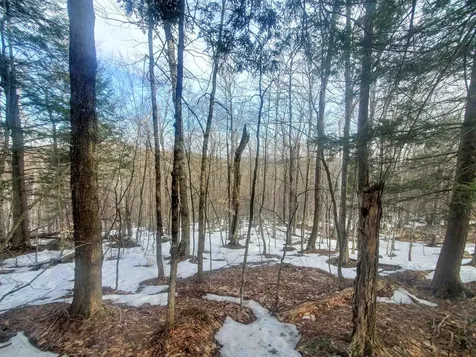 00 Route 9 Marlboro VT 05344