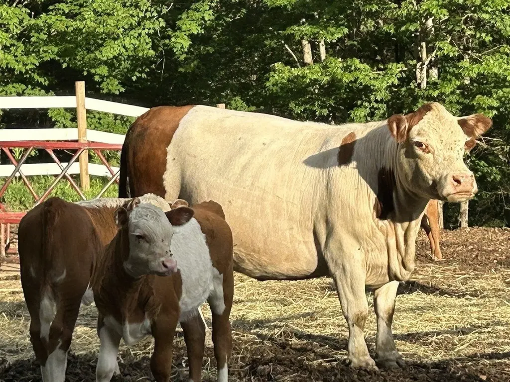 200 Fontaine Lane East Montpelier VT 05651