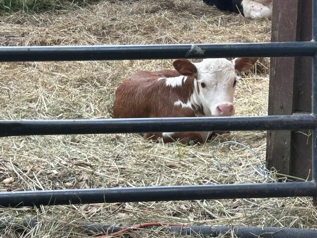 200 Fontaine Lane East Montpelier VT 05651