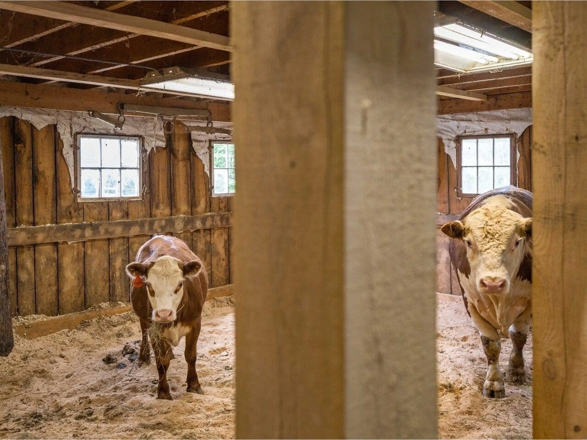 200 Fontaine Lane East Montpelier VT 05651