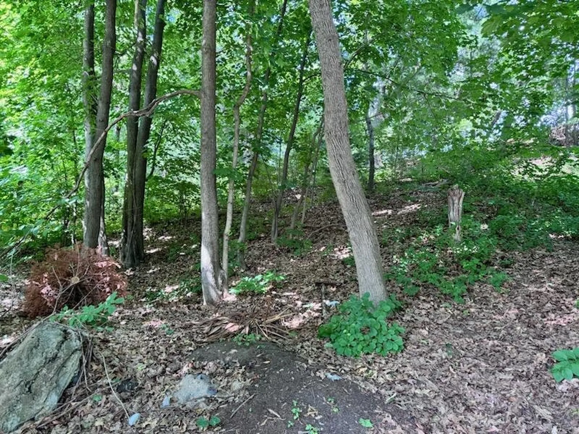 0 Huntress Street Manchester NH 03102