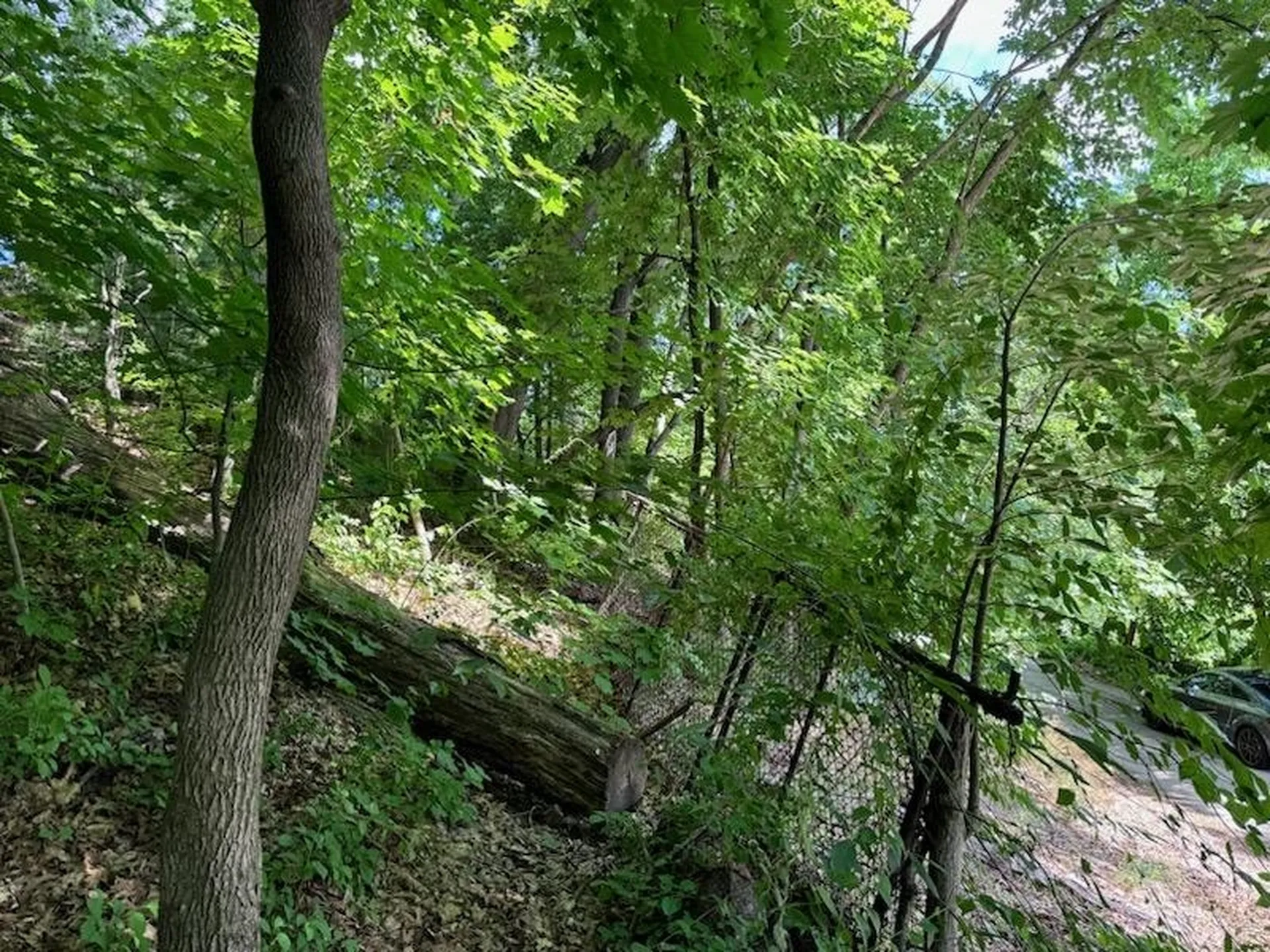 0 Huntress Street Manchester NH 03102