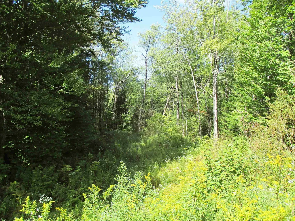 432 Farm Road Lowell VT 05847