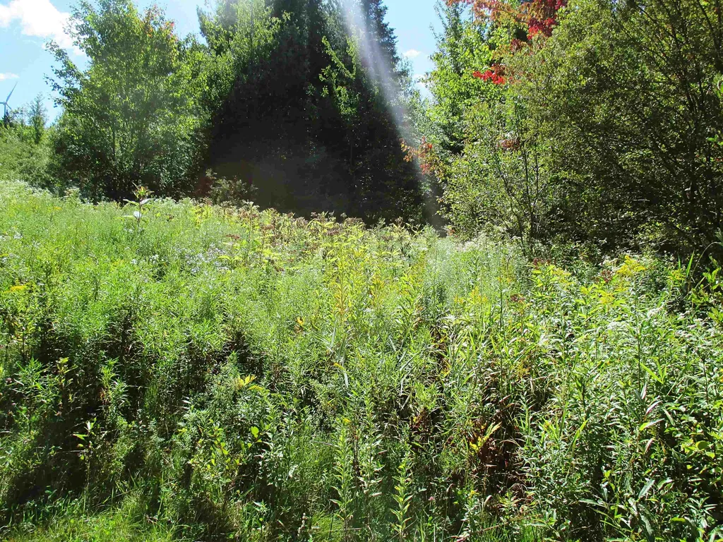 432 Farm Road Lowell VT 05847