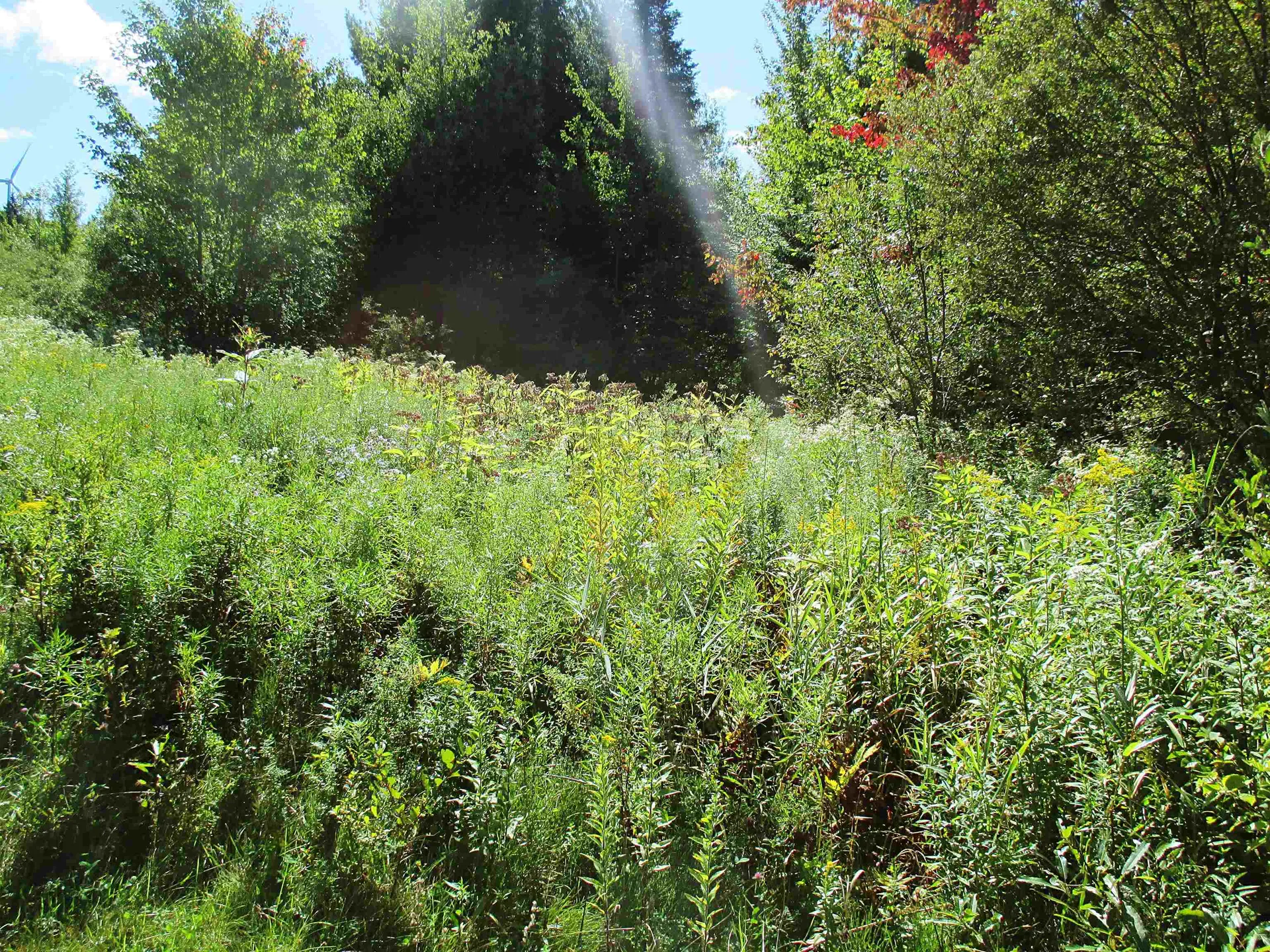 432 Farm Road Lowell VT 05847