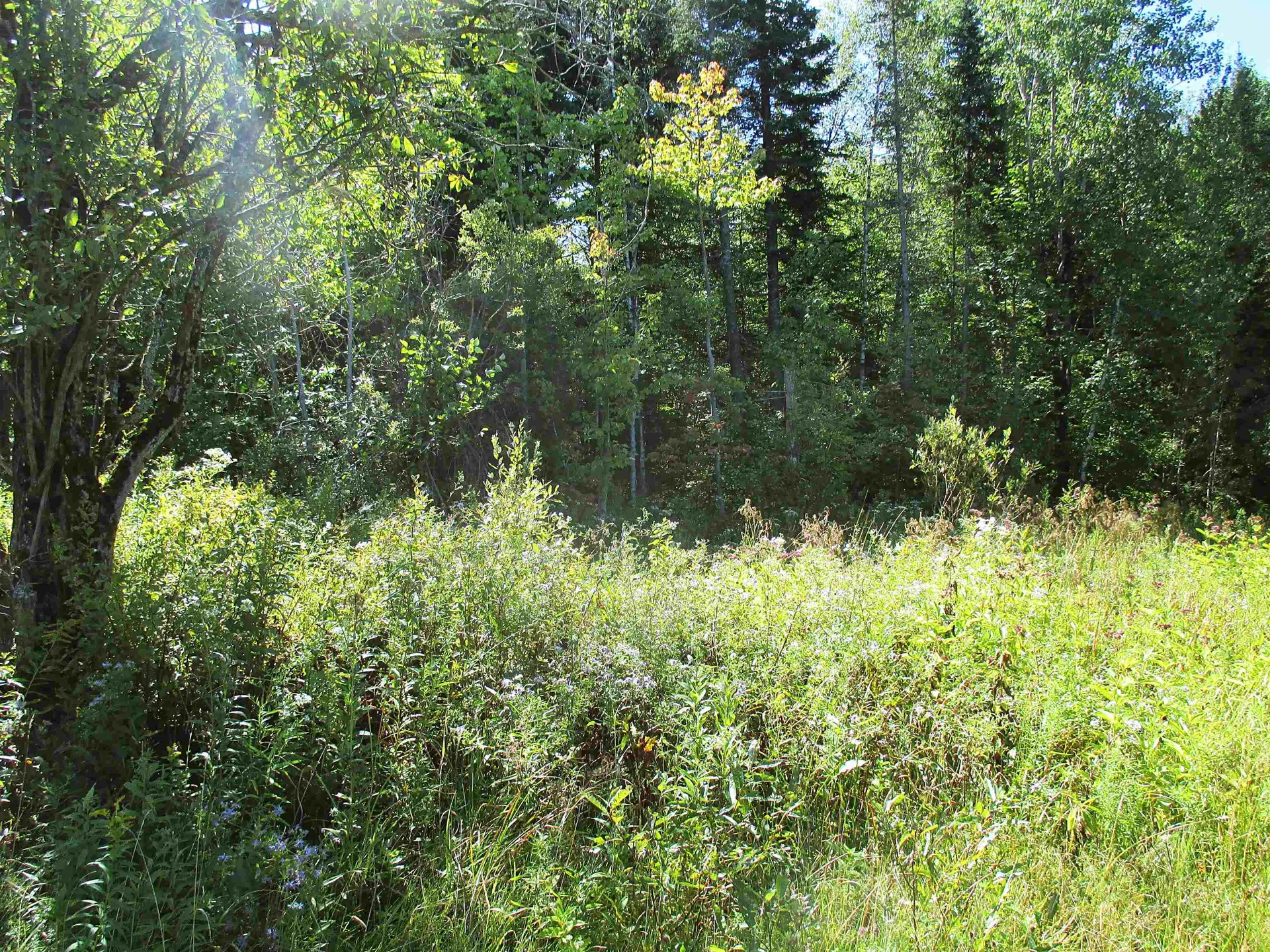 432 Farm Road Lowell VT 05847