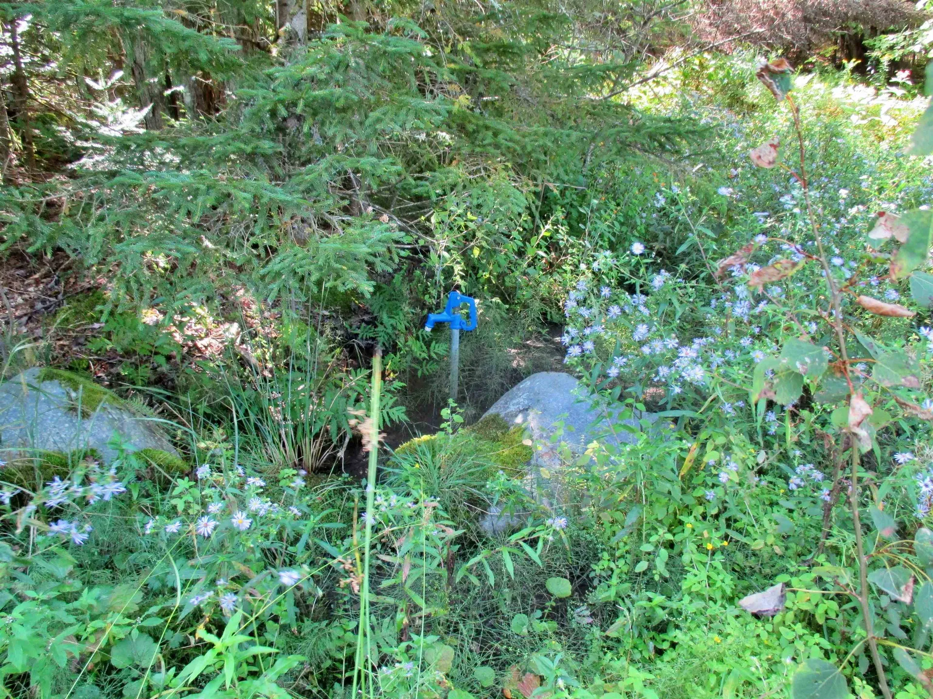 432 Farm Road Lowell VT 05847