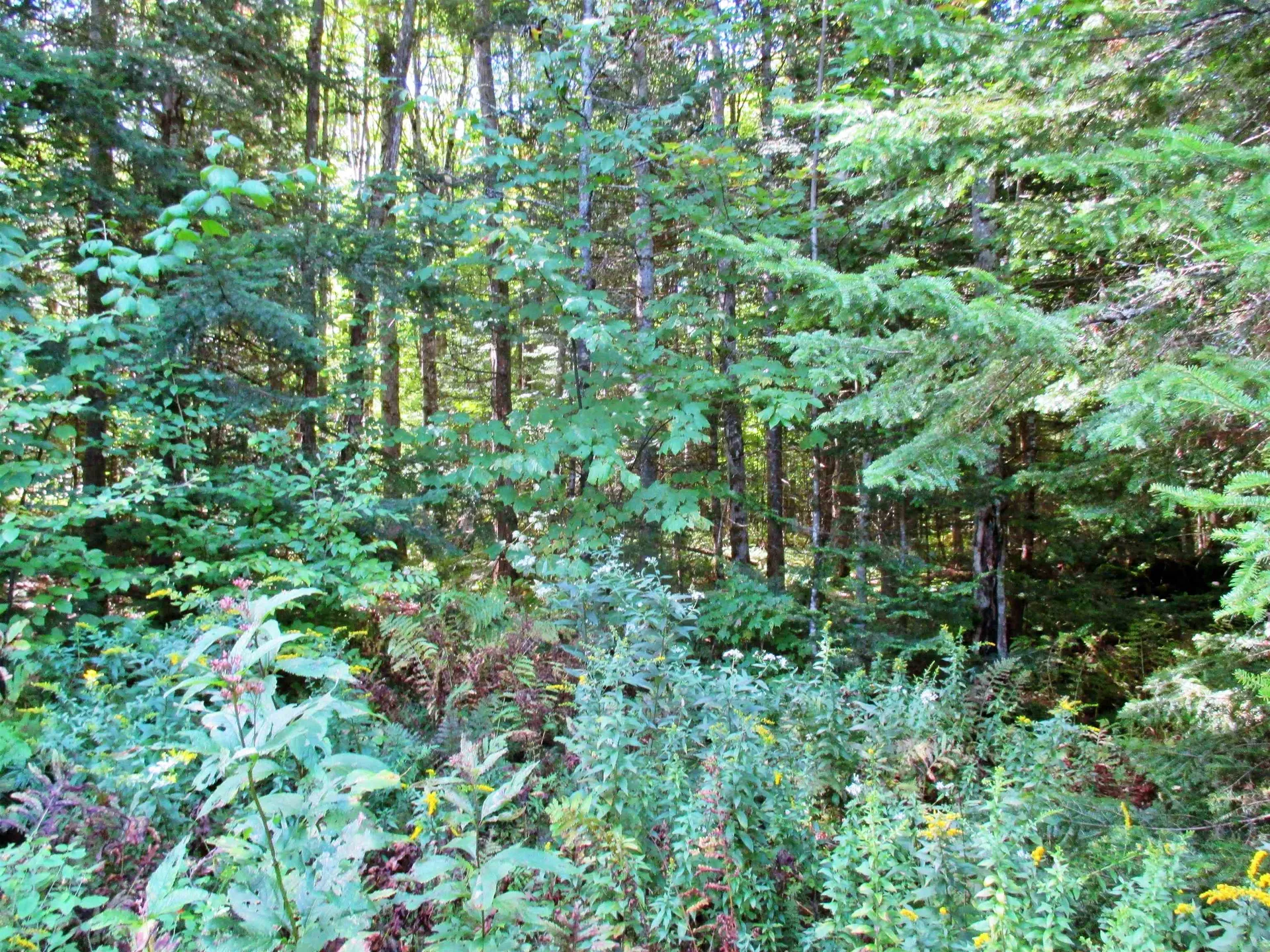 432 Farm Road Lowell VT 05847