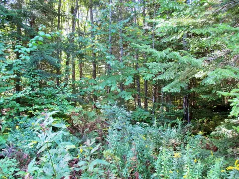 432 Farm Road Lowell VT 05847