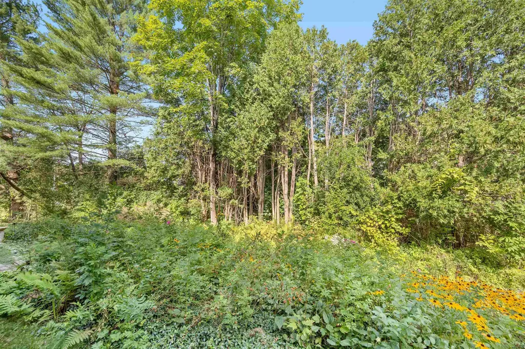 58 Independence Green Montpelier VT 05602
