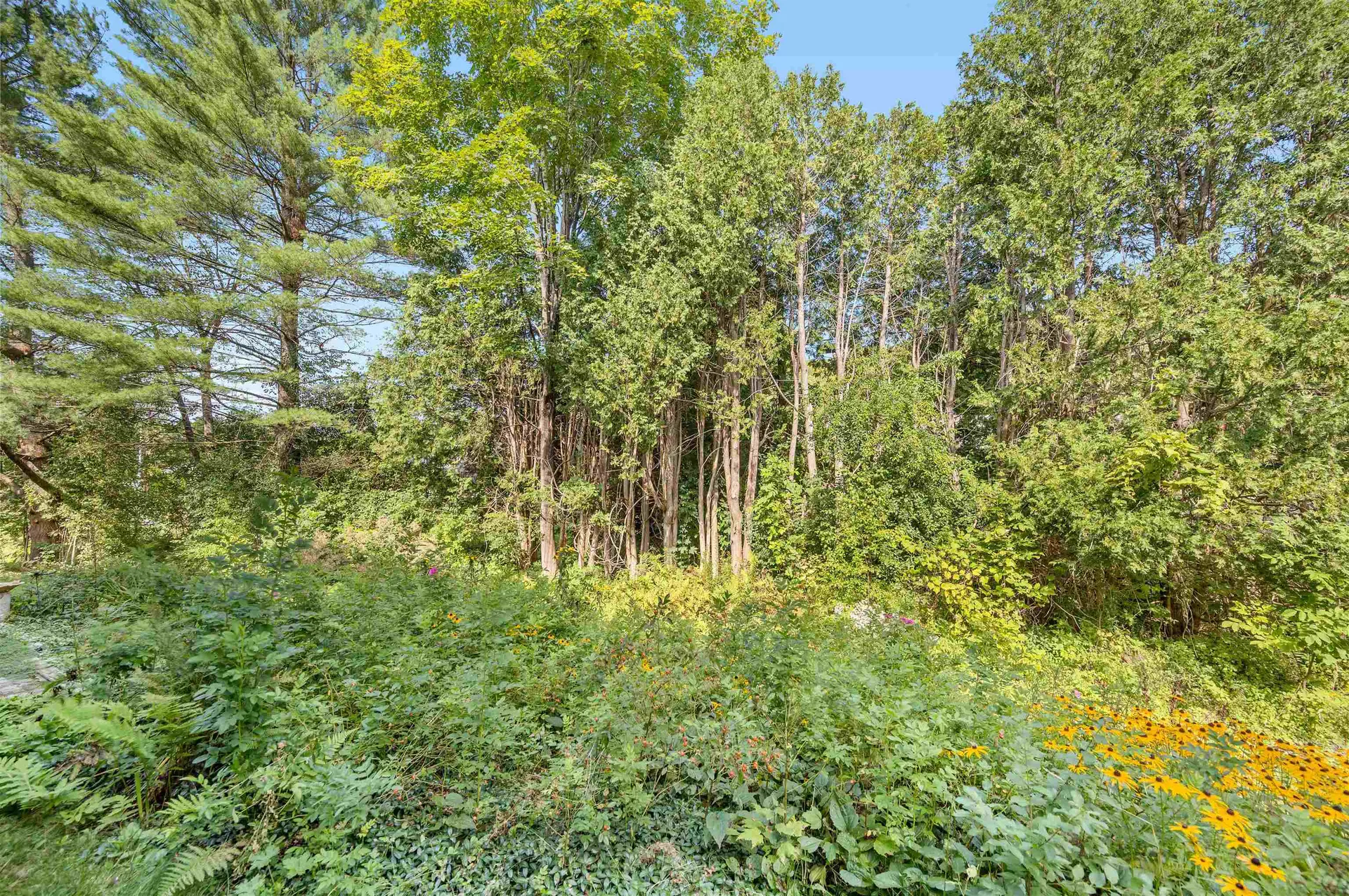 58 Independence Green Montpelier VT 05602