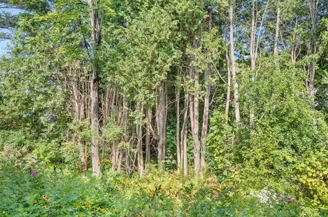 58 Independence Green Montpelier VT 05602