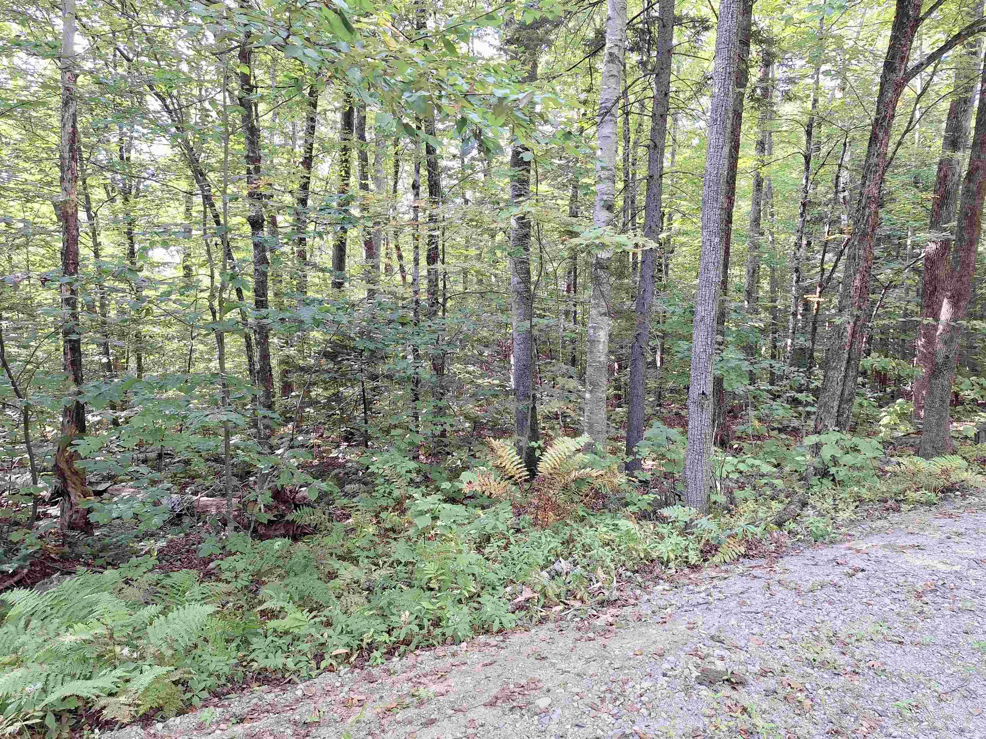 149 Grout Hill Road Acworth NH 03608