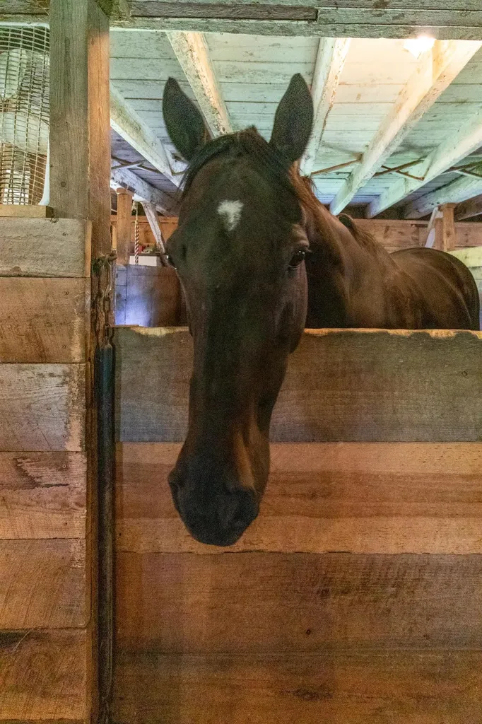 3537 Vt Route 100 Westfield VT 05874-7712