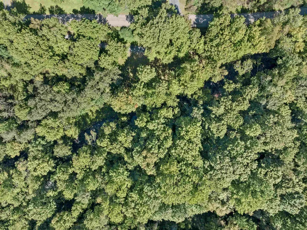 500 Old Mill Hill Northfield VT 05663