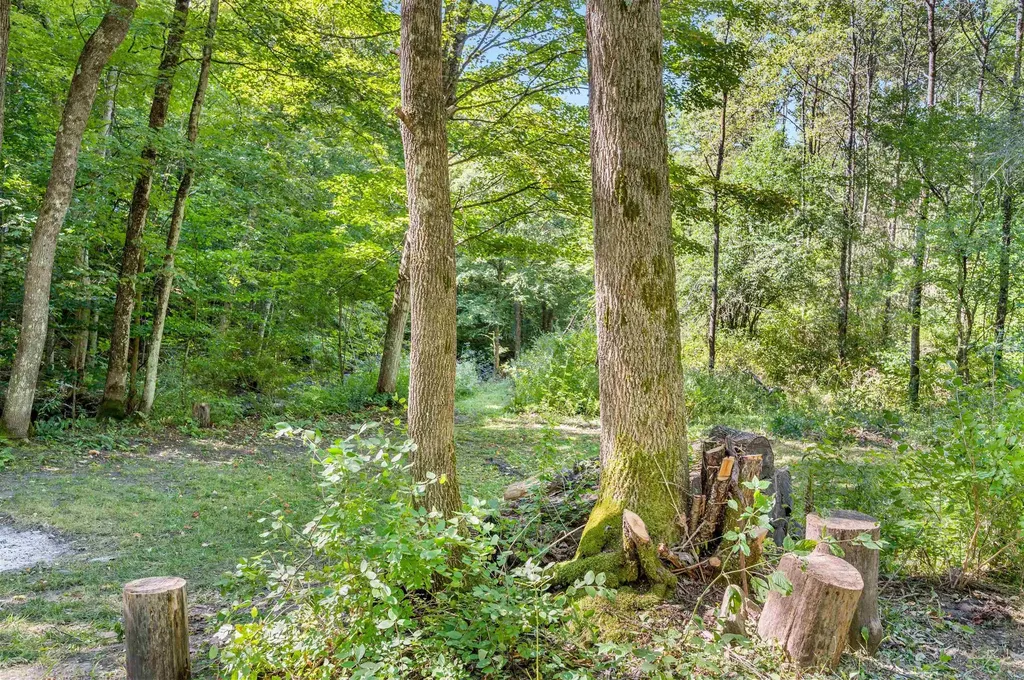 500 Old Mill Hill Northfield VT 05663