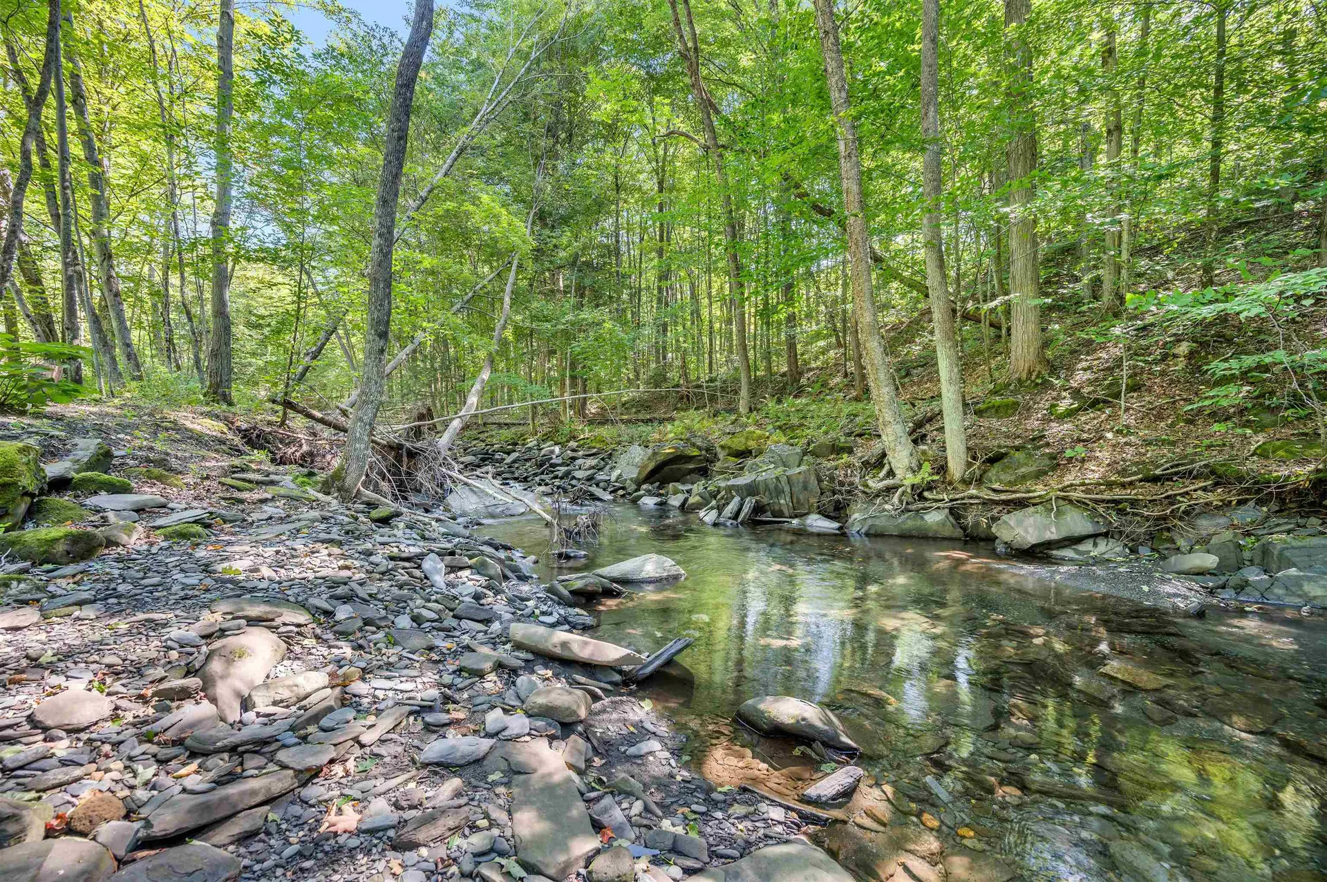 500 Old Mill Hill Northfield VT 05663