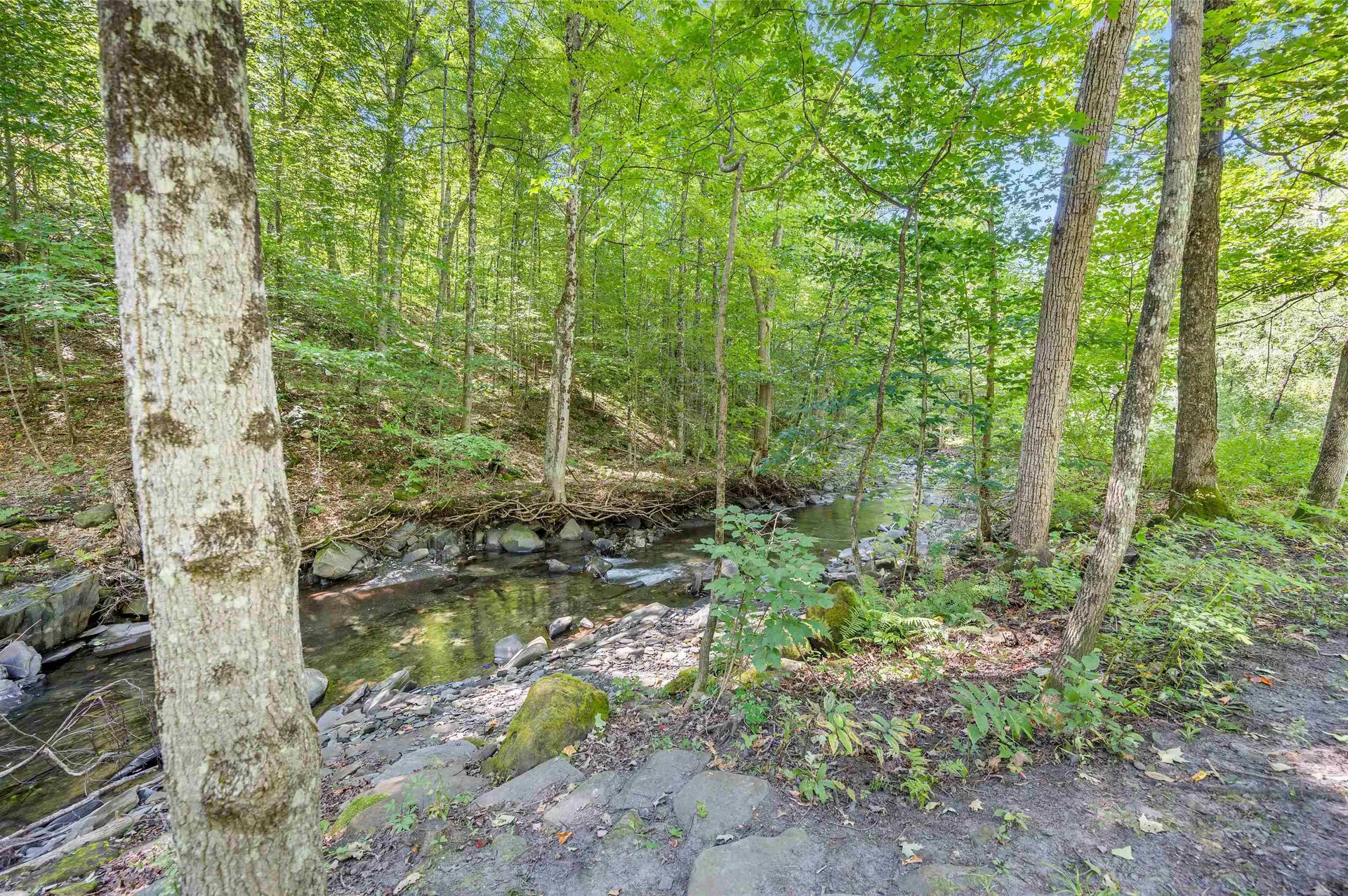 500 Old Mill Hill Northfield VT 05663