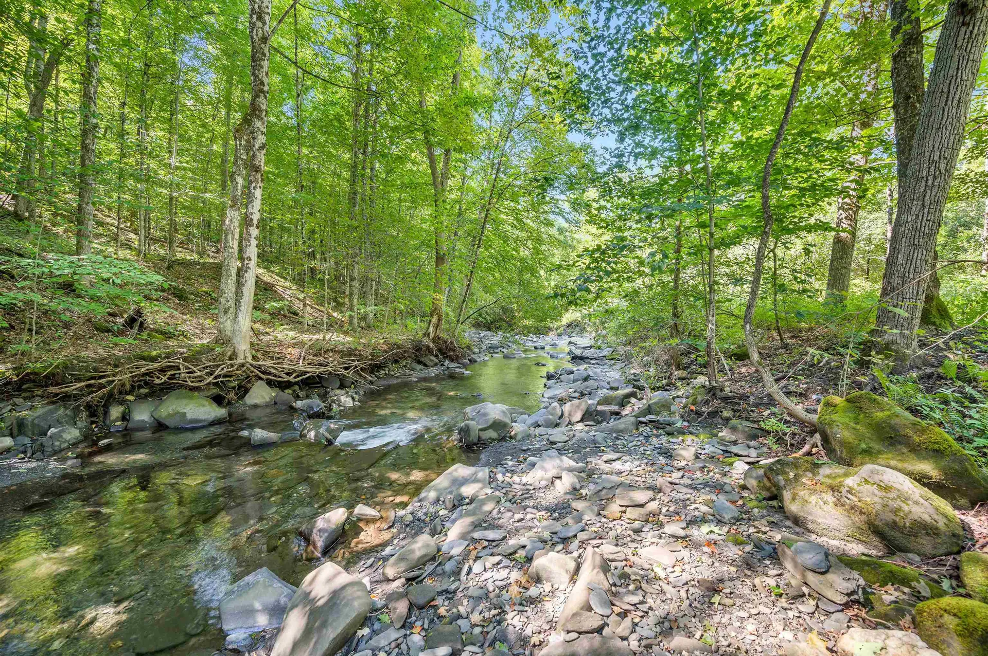 500 Old Mill Hill Northfield VT 05663