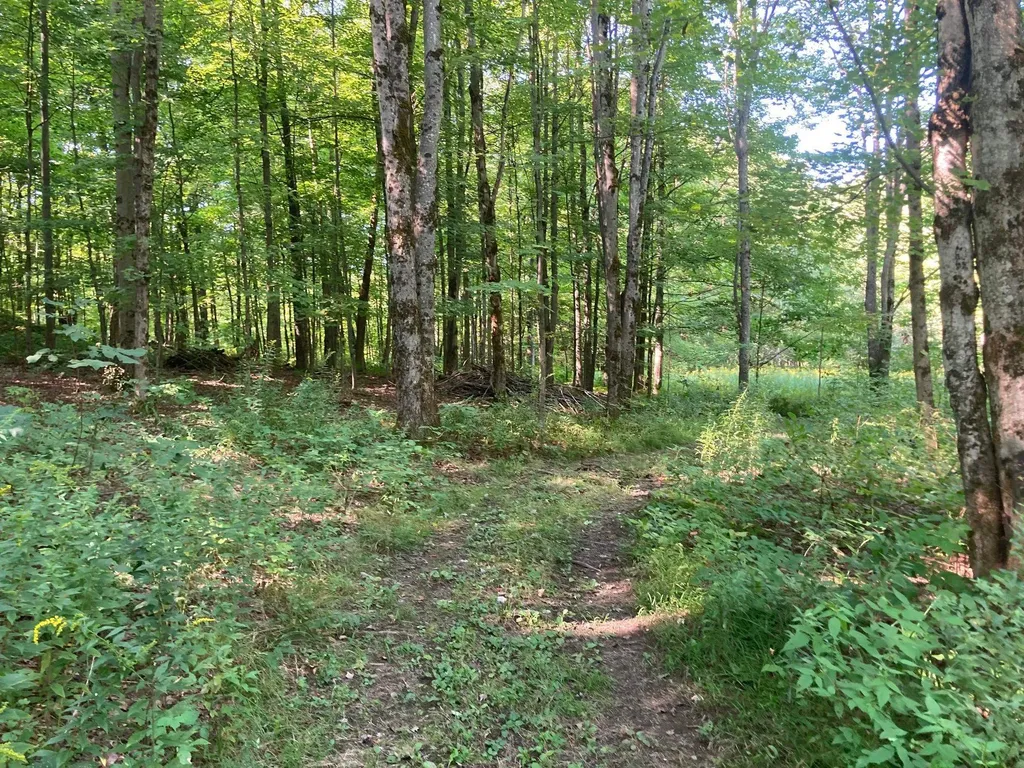 42 Wiggins Road Fairfax VT 05454