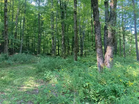 42 Wiggins Road Fairfax VT 05454