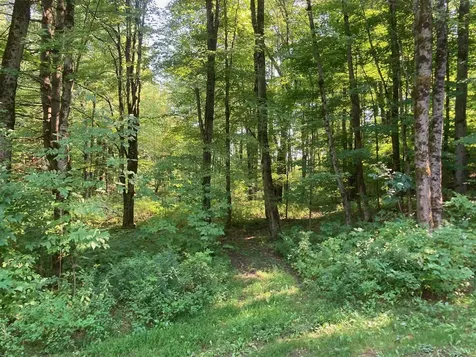 42 Wiggins Road Fairfax VT 05454