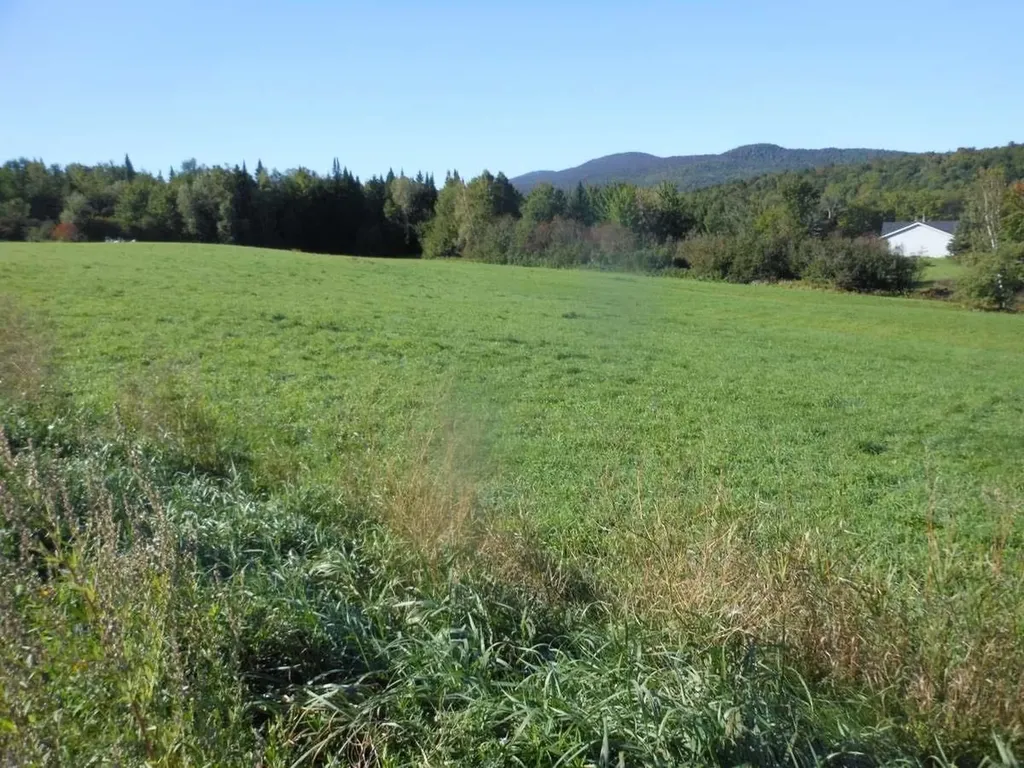 Lot 5b Vt. Route 12 Elmore VT 05657